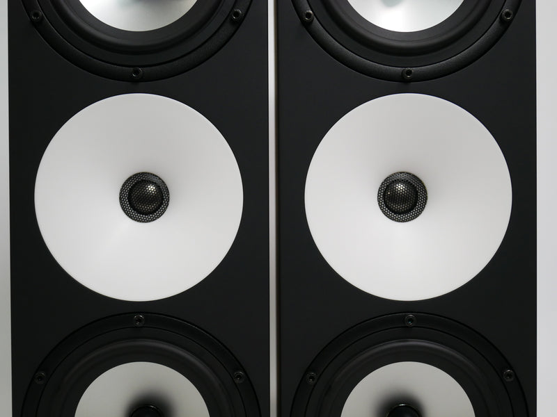 amphion Two18+専用スピーカーケーブル (中古)3