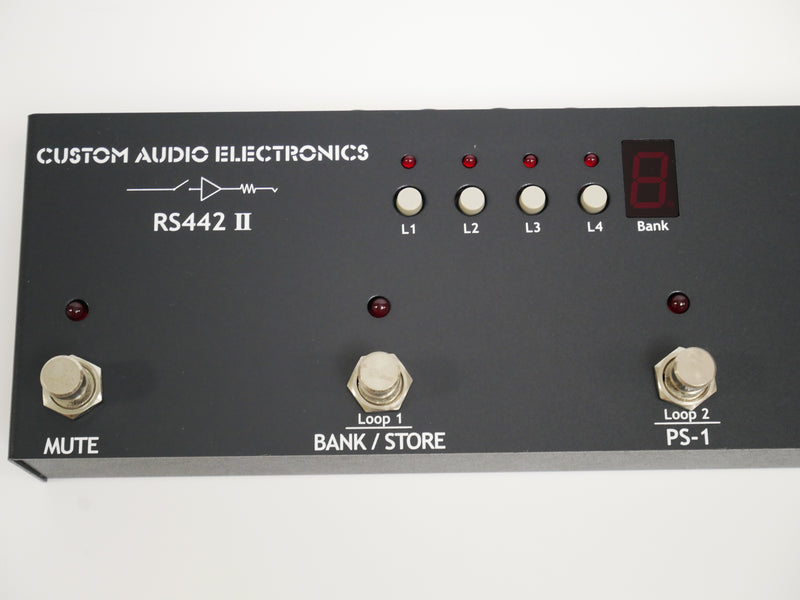 Custom Audio Electronics RS442 II (中古)3