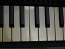 KORG microSAMPLER (中古)