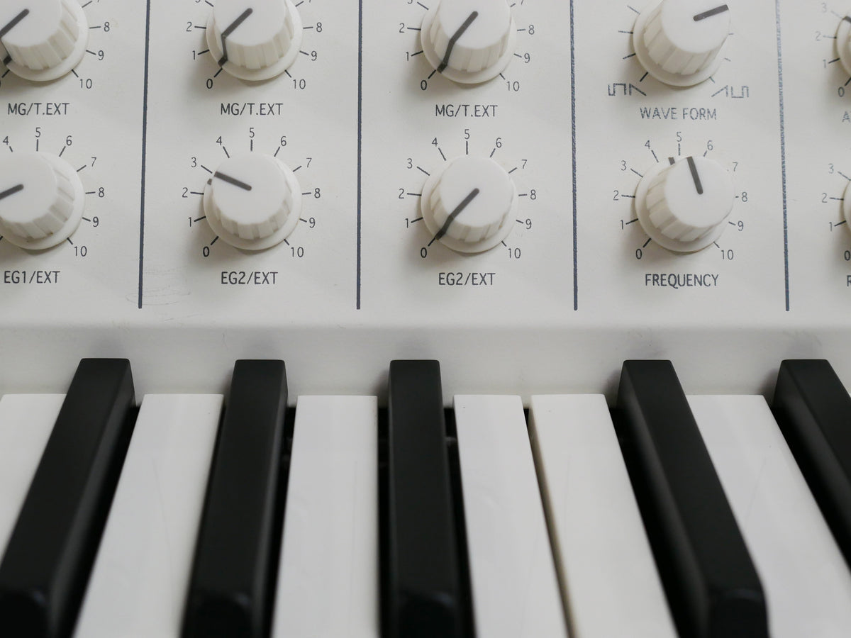 KORG MS-20 mini WM (中古)