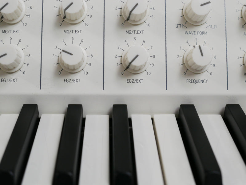 KORG MS-20 mini WM (中古)