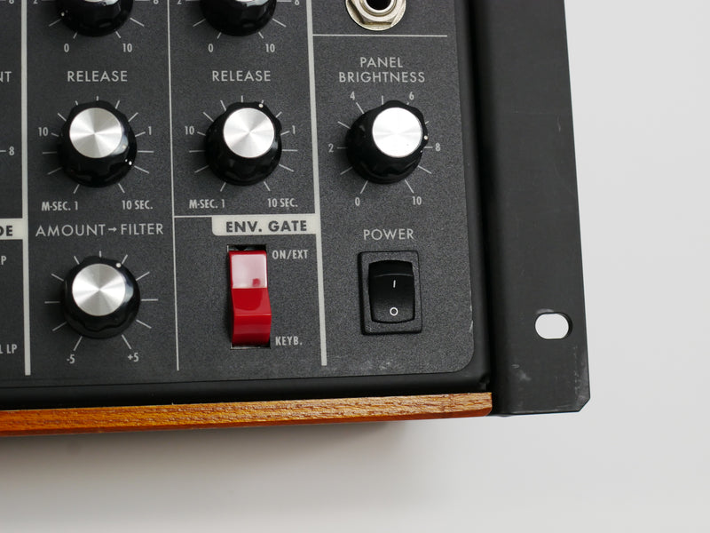 moog minimoog voyager RME (中古)