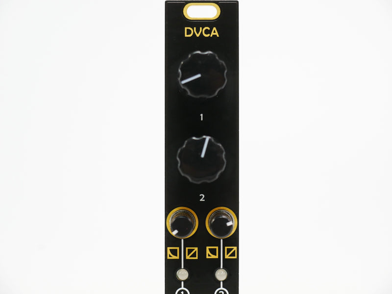 After Later Audio DVCA (中古)2