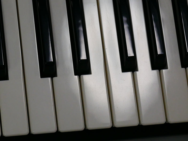 Roland JUPITER-50 + Softcase (中古)