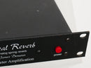Demeter Amplification RV-1 Real Reverb (中古)