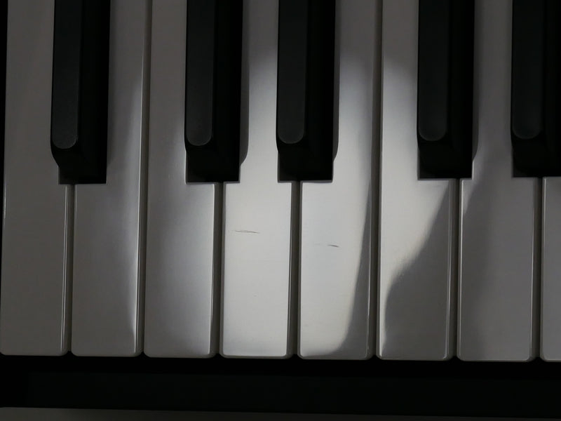 YAMAHA CK88 (中古)