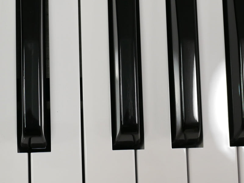 BEHRINGER POLY D (中古)