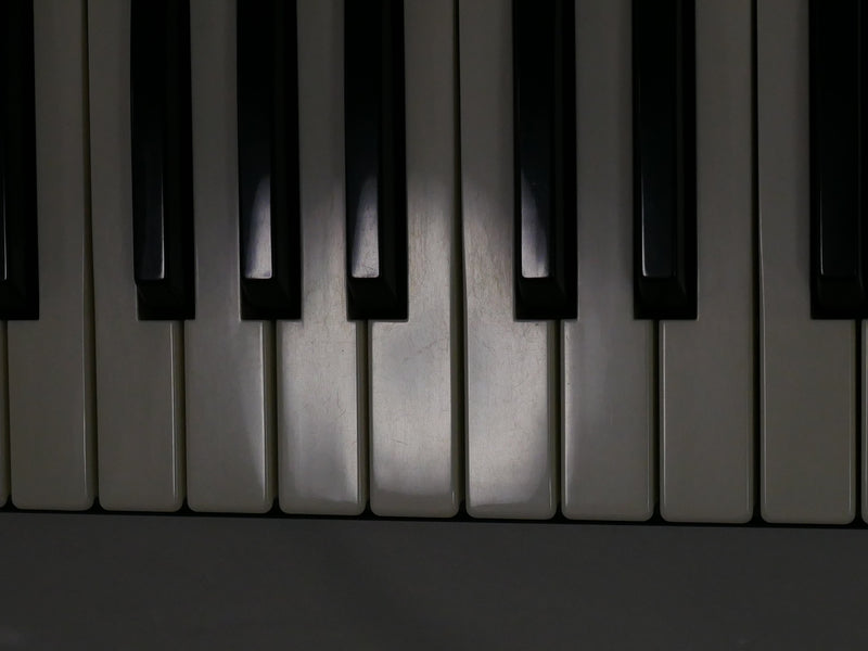 Sequential Circuits Prophet-600 6E3.1 + Case (中古)