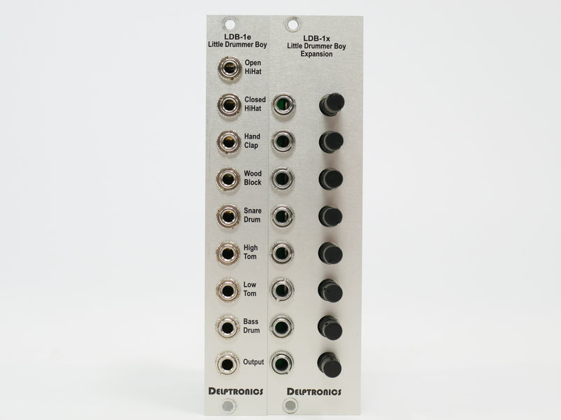 Delptronics LDB-1e + LDB-1x (中古)