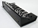 YAMAHA CS-10 + Case (中古)2