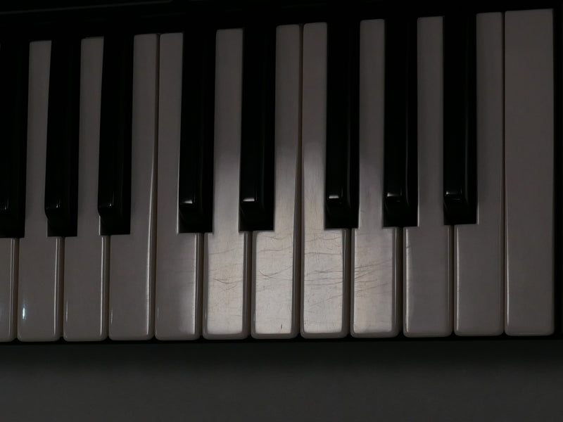 YAMAHA CS-10 + Case (中古)