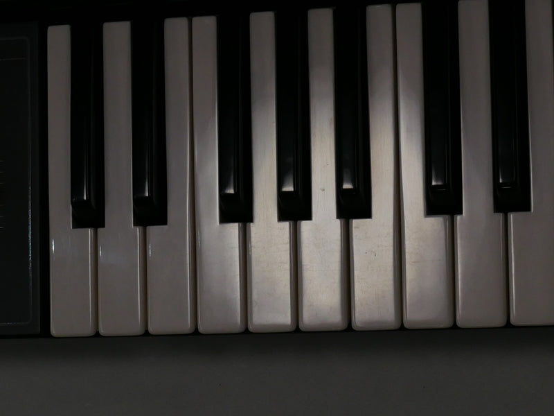 YAMAHA CS-10 + Case (中古)