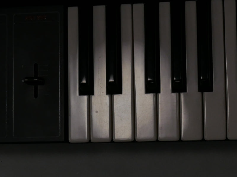 YAMAHA CS-10 + Case (中古)