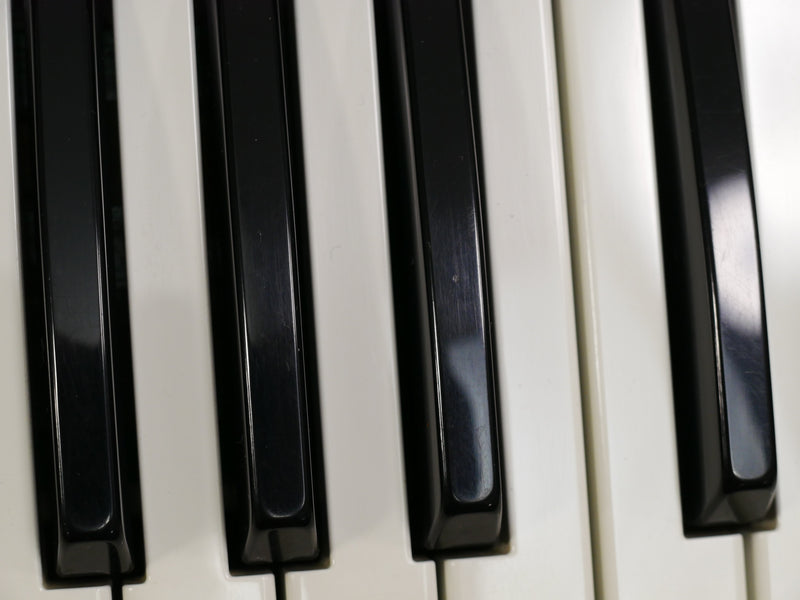 Roland SH-101 (中古)