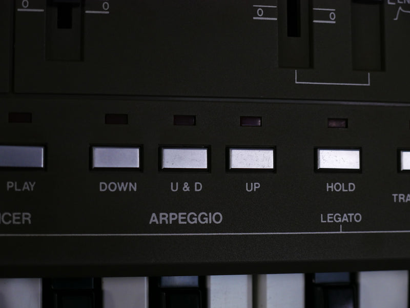 Roland SH-101 (中古)