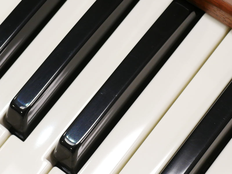 moog Minimoog Voyager Signature Edition (中古)