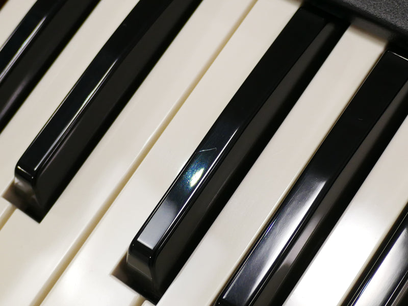 Dave Smith Instruments Prophet '08 PE (中古)