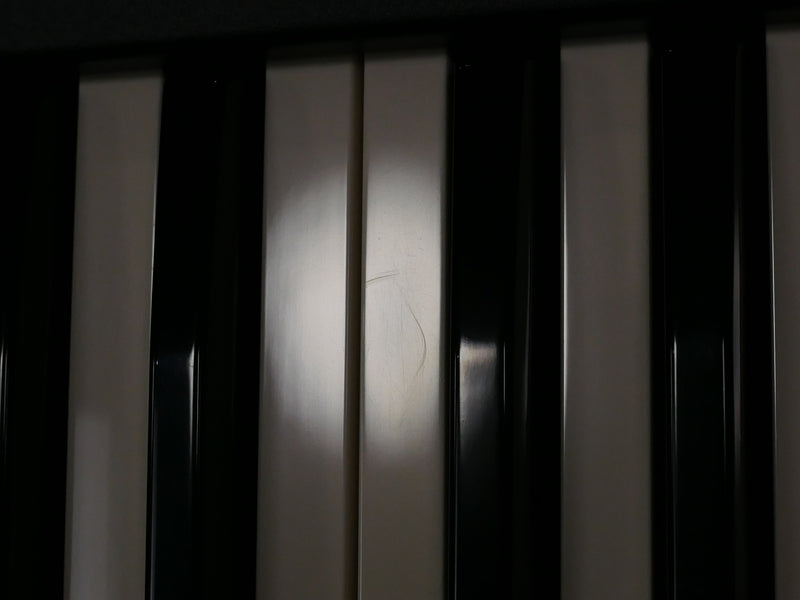 Dave Smith Instruments Prophet '08 PE (中古)