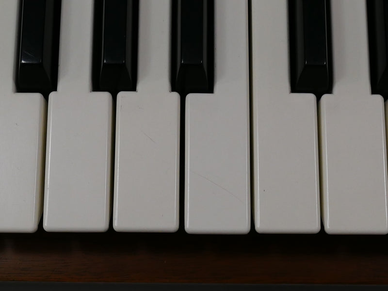 moog Minimoog MODEL D (中古)