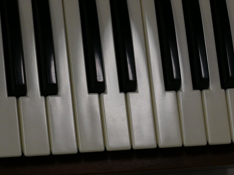 moog Minimoog MODEL D (中古)