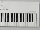Waldorf blofeld keyboard (中古)4