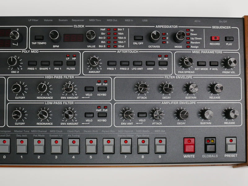 SEQUENTIAL Prophet-6 Module (中古)