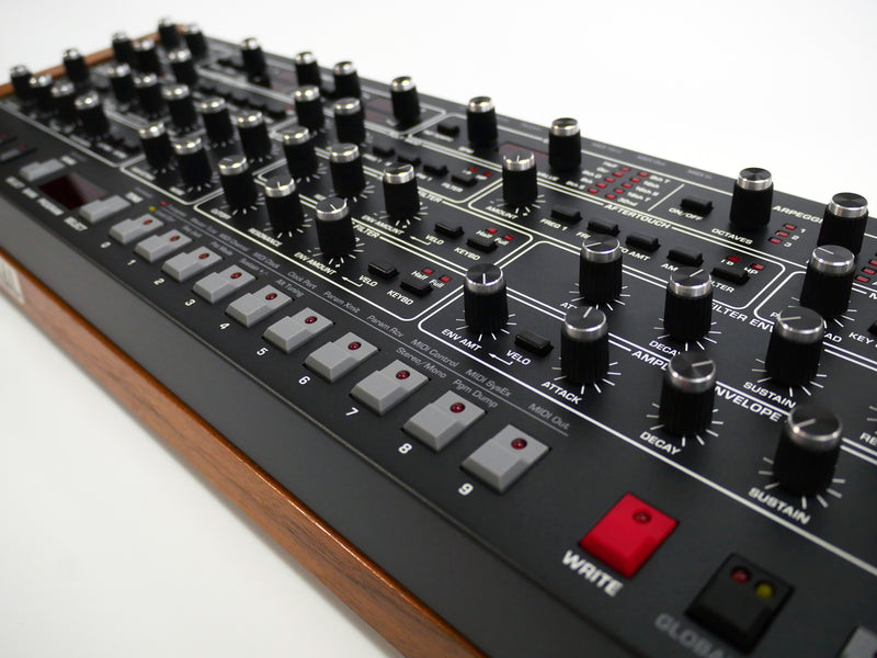 SEQUENTIAL Prophet-6 Module (中古)