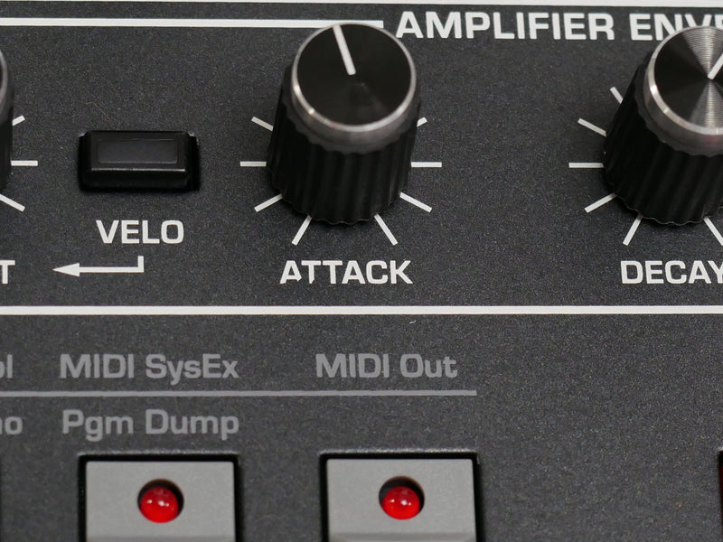 SEQUENTIAL Prophet-6 Module (中古)