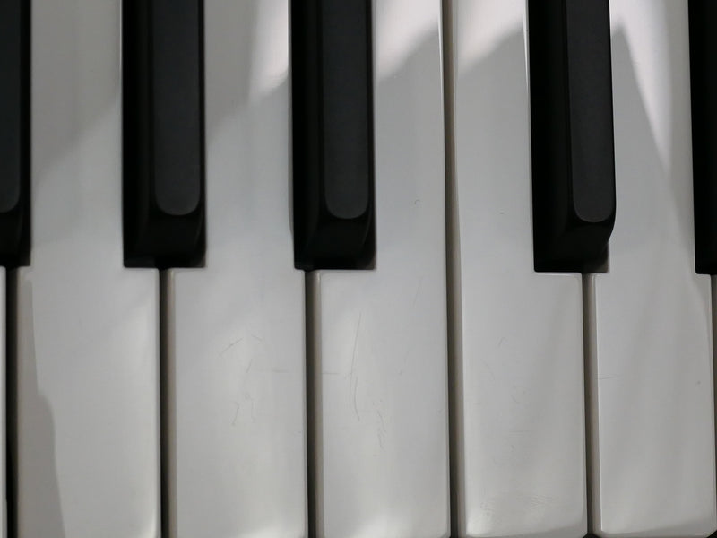 KORG minilogue xd (中古)