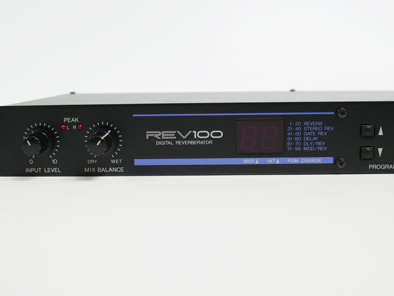 YAMAHA REV100 (中古)3