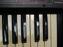 Roland SYSTEM-100 MODEL-101 (中古)