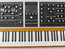 moog One 8Voice (中古)4