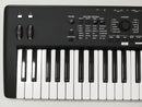 KORG KROSS2-61 + Softcase (中古)3
