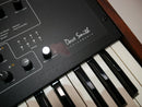 Dave Smith Instruments Prophet '08 PE (中古)