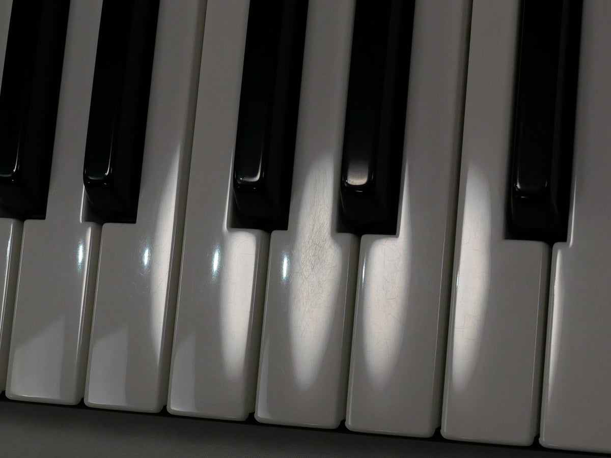 Waldorf blofeld keyboard (中古)