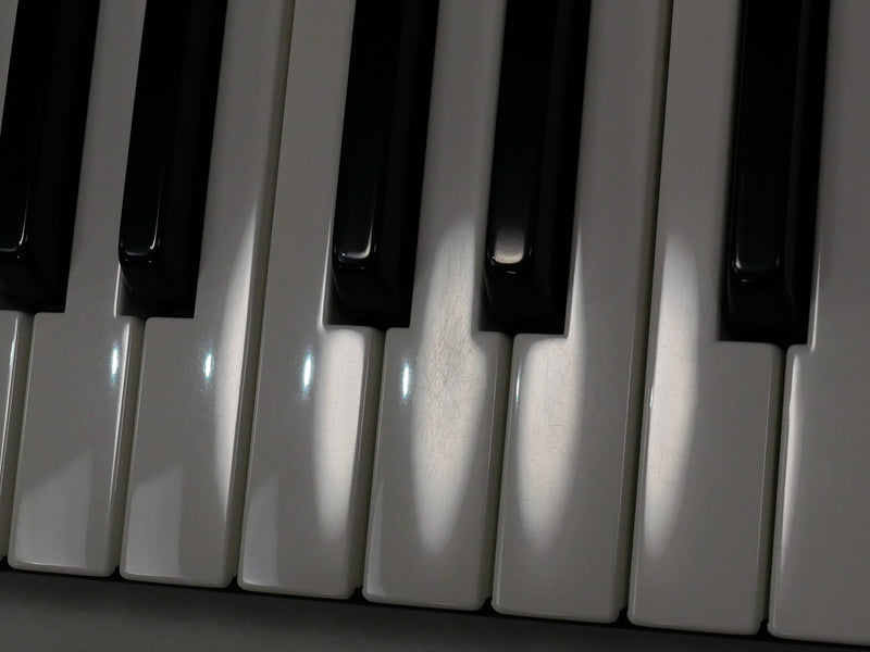 Waldorf blofeld keyboard (中古)