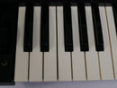 KORG MS-20 + Case (中古)