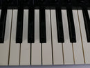 KORG MS-20 + Case (中古)