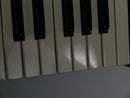 KORG MS-20 + Case (中古)