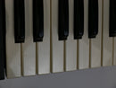 KORG MS-20 + Case (中古)