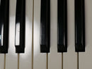 KORG Polysix (中古)