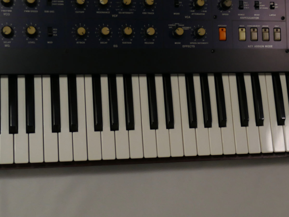 KORG Polysix (中古)