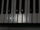 Roland JUNO-Gi + Softcase (中古)