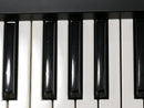 Roland JUNO-Gi + Softcase (中古)