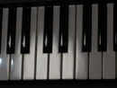 Roland JUNO-Gi + Softcase (中古)