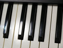 KORG MONO/POLY + Softcase (中古)
