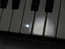 KORG MONO/POLY + Softcase (中古)