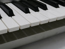 KORG M3 Xpanded 61 + Hardcase (中古)