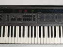 KORG DW-8000 + Case (中古)