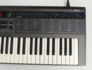 KORG DW-8000 + Case (中古)